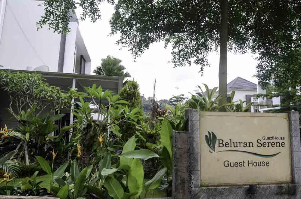 Beluran Serene Guesthouse Selemadeg Kültér fotó