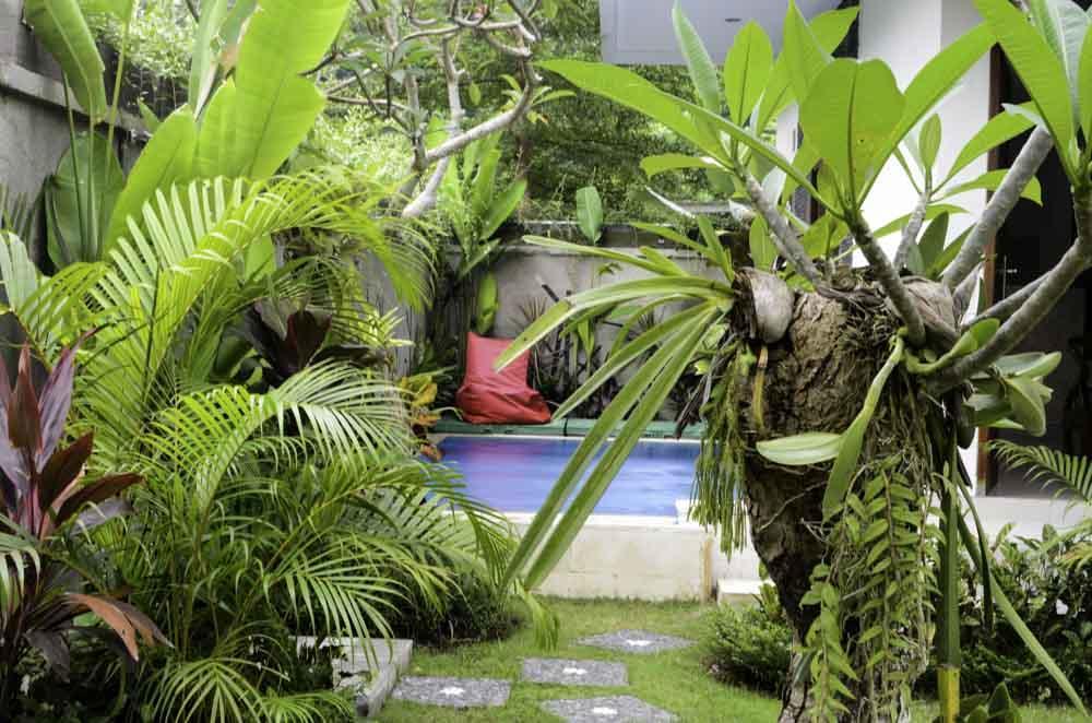 Beluran Serene Guesthouse Selemadeg Kültér fotó